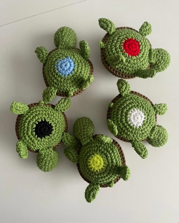 Memory Schildkröten