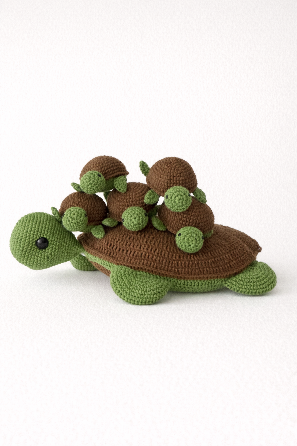 Memory Schildkröten