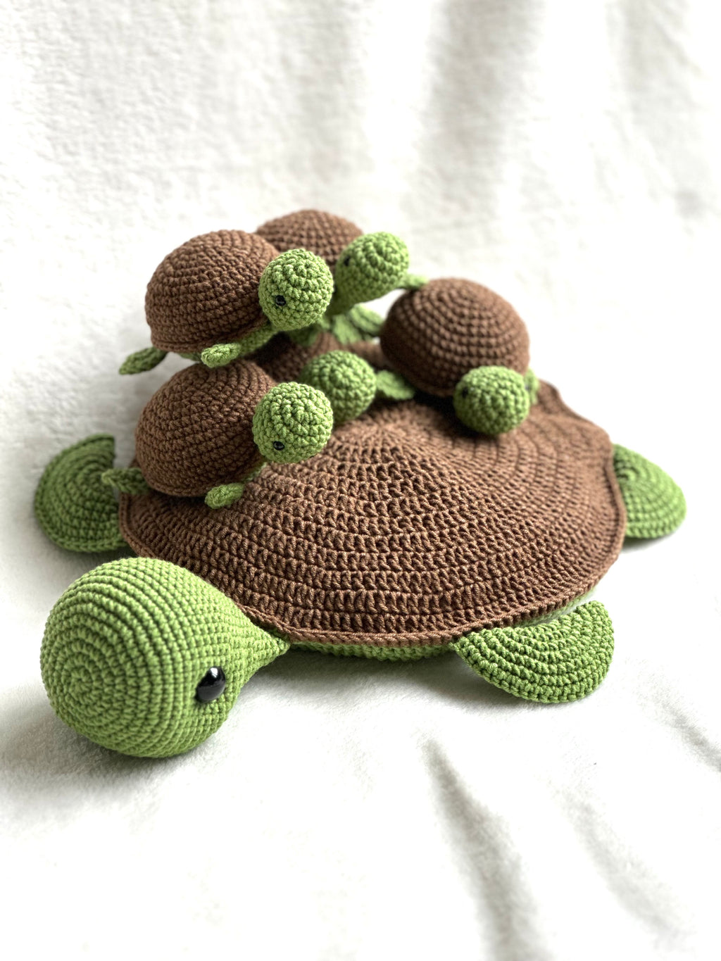 Memory Schildkröten