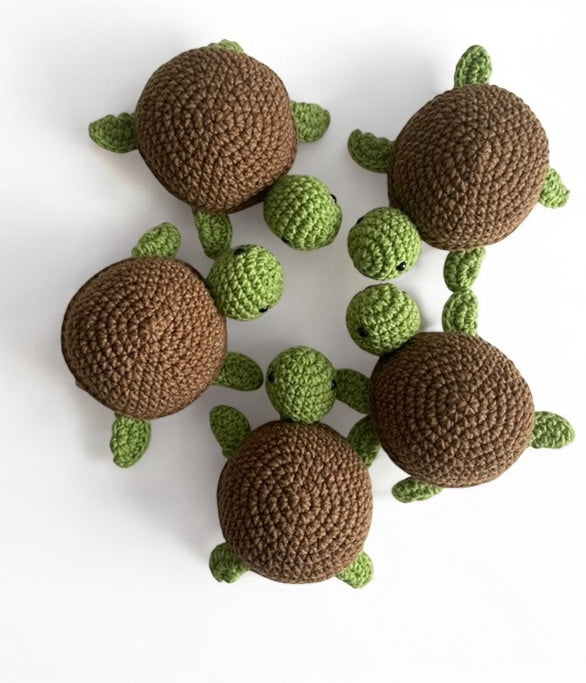 Memory Schildkröten